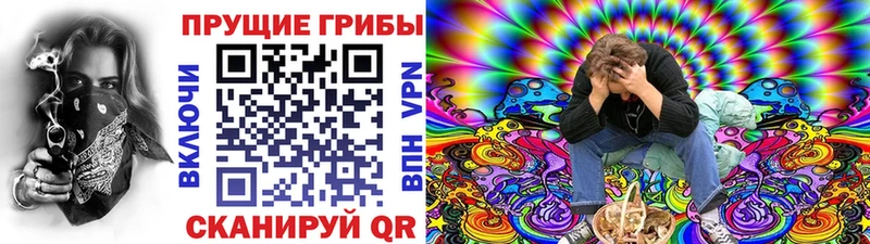 Псилоцибиновые грибы GOLDEN TEACHER  Бахчисарай 